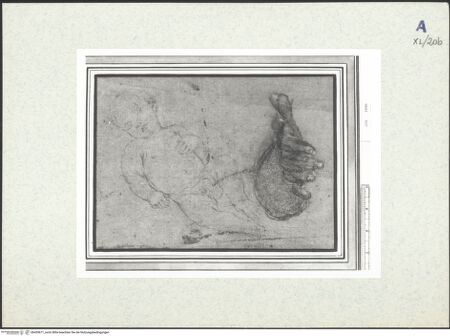 Vorderseite von bh439671_recto