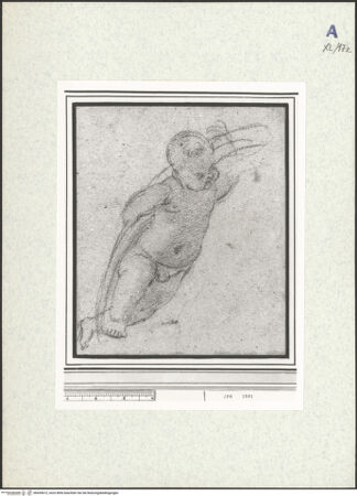 Vorderseite von bh439672_recto