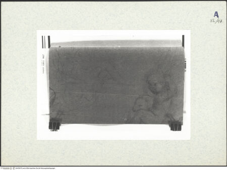 Vorderseite von bh439674_recto