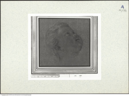 Vorderseite von bh439678_recto