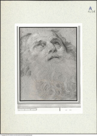 Vorderseite von bh439683_recto