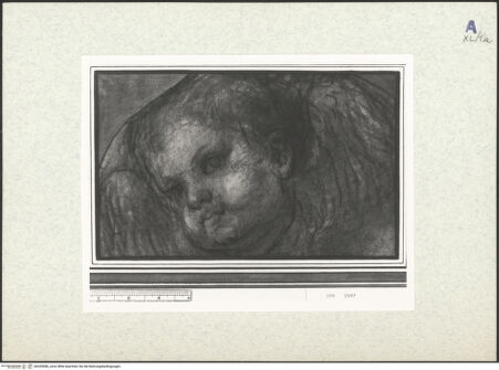 Vorderseite von bh439686_recto