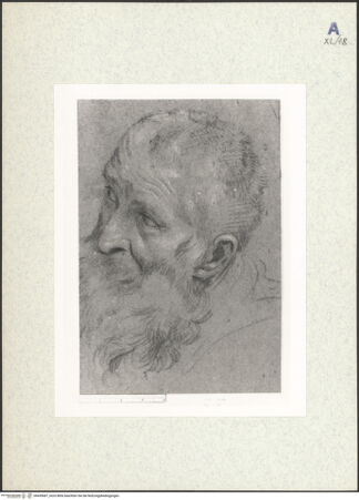 Vorderseite von bh439687_recto