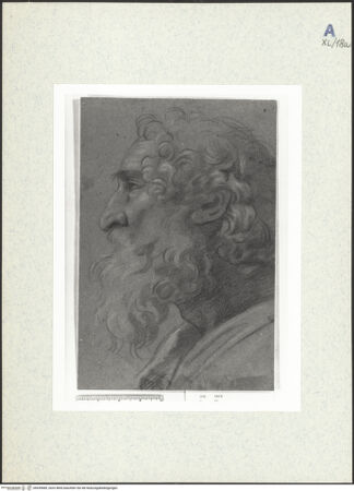 Vorderseite von bh439689_recto