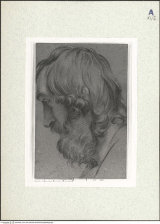 Vorderseite von bh439690_recto