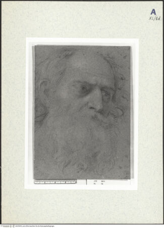 Vorderseite von bh439695_recto