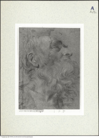 Vorderseite von bh439696_recto