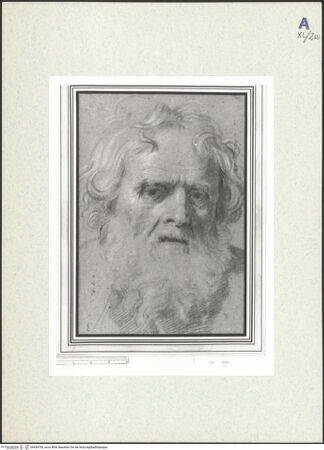 Vorderseite von bh439700_recto