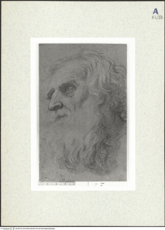 Vorderseite von bh439702_recto