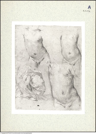 Vorderseite von bh439716_recto