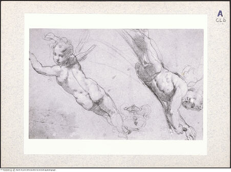 Vorderseite von bh439718_recto