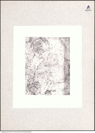 Vorderseite von bh439721_recto