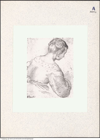 Vorderseite von bh439726_recto