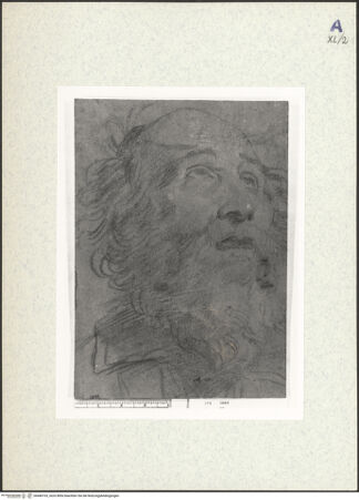 Vorderseite von bh440103_recto