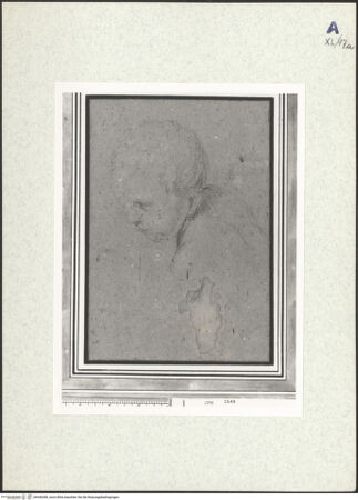 Vorderseite von bh440288_recto