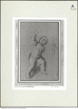 Vorderseite von bh440289_recto