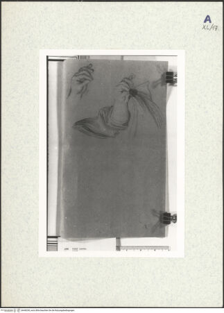 Vorderseite von bh440290_recto