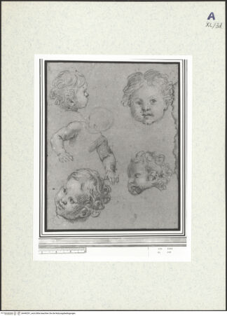 Vorderseite von bh440291_recto