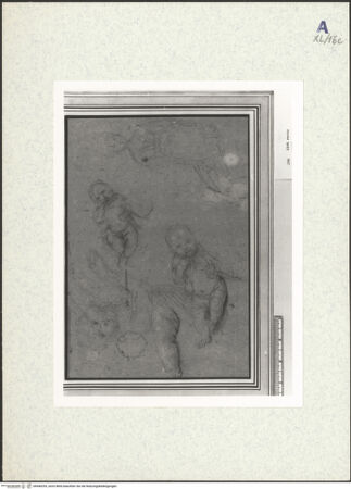 Vorderseite von bh440293_recto