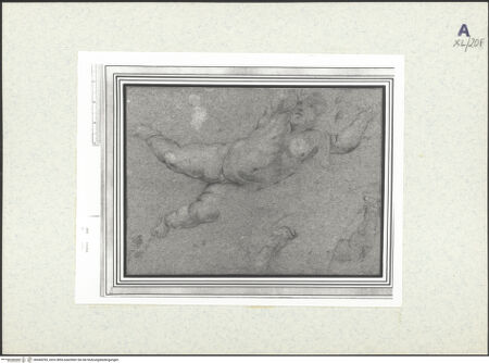 Vorderseite von bh440295_recto