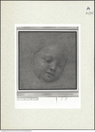 Vorderseite von bh440299_recto