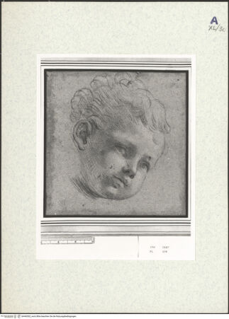 Vorderseite von bh440302_recto