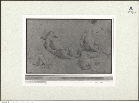 Vorderseite von bh440306_recto