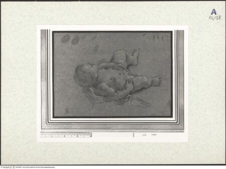 Vorderseite von bh440307_recto