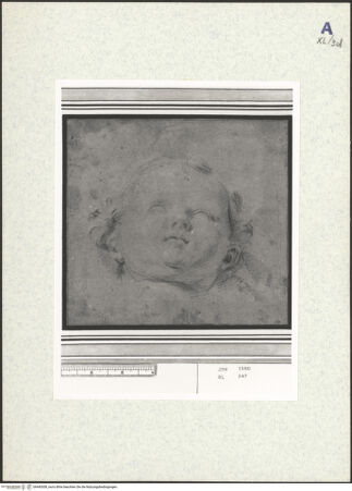 Vorderseite von bh440308_recto