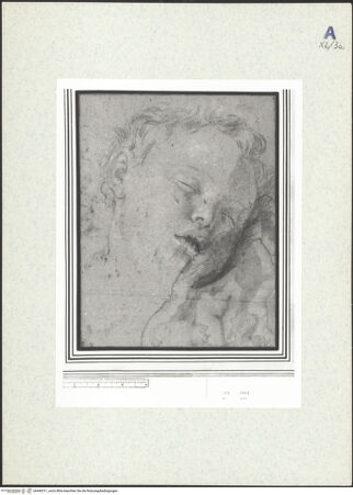 Vorderseite von bh440311_recto