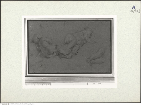 Vorderseite von bh440317_recto