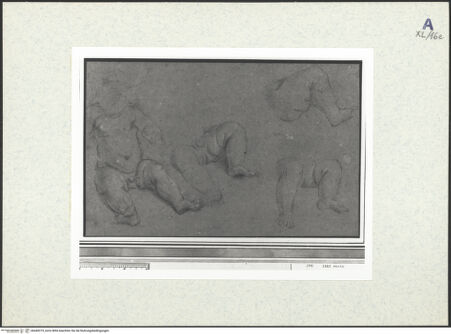 Vorderseite von bh440319_recto