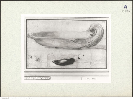 Vorderseite von bh440346_recto