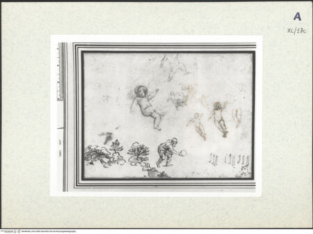 Vorderseite von bh440366_recto