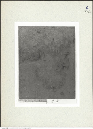 Vorderseite von bh440373_recto