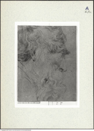 Vorderseite von bh440374_recto