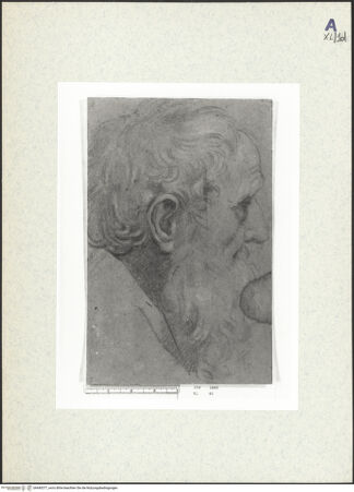 Vorderseite von bh440377_recto