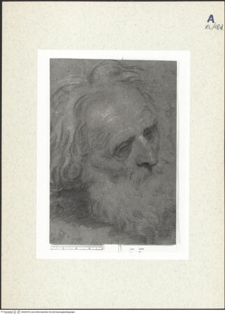 Vorderseite von bh440378_recto