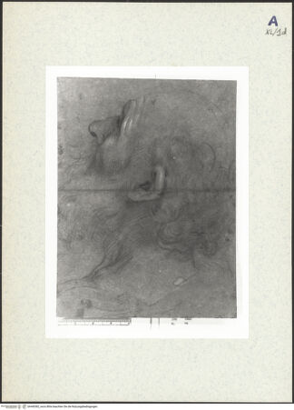 Vorderseite von bh440382_recto