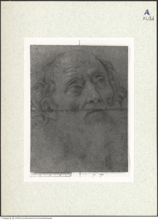 Vorderseite von bh440383_recto