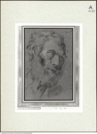 Vorderseite von bh440385_recto