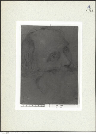 Vorderseite von bh440386_recto