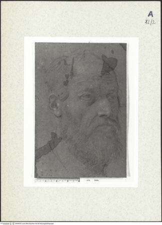 Vorderseite von bh440387_recto