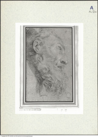 Vorderseite von bh440388_recto