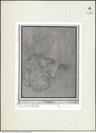 Vorderseite von bh440395_recto