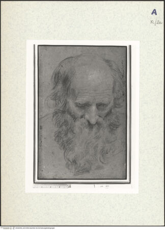 Vorderseite von bh440396_recto