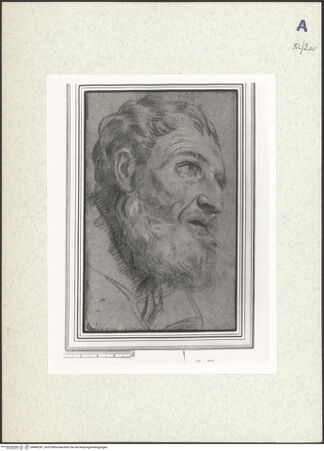 Vorderseite von bh440397_recto