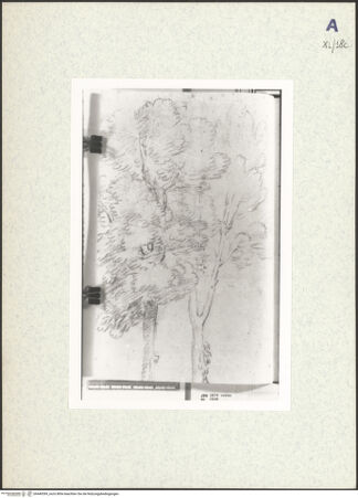 Vorderseite von bh440399_recto