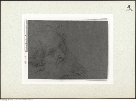 Vorderseite von bh440402_recto