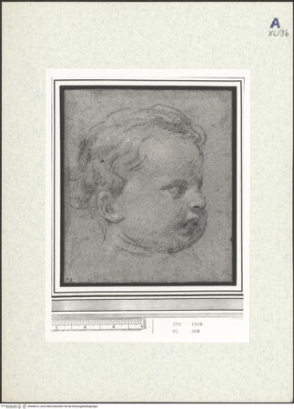 Vorderseite von bh440414_recto